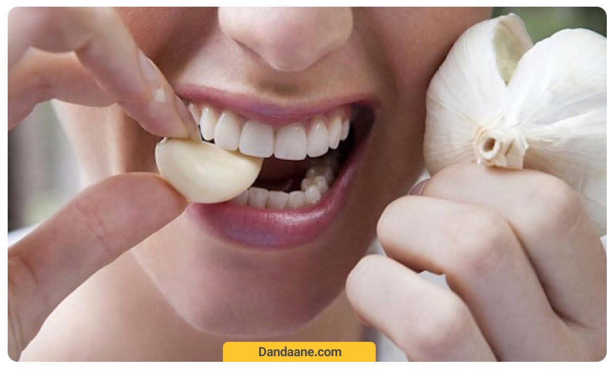 جویدن سیر برای درمان دندان درد